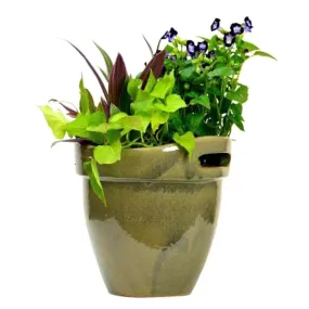 Honey Planter Wasabi 7in