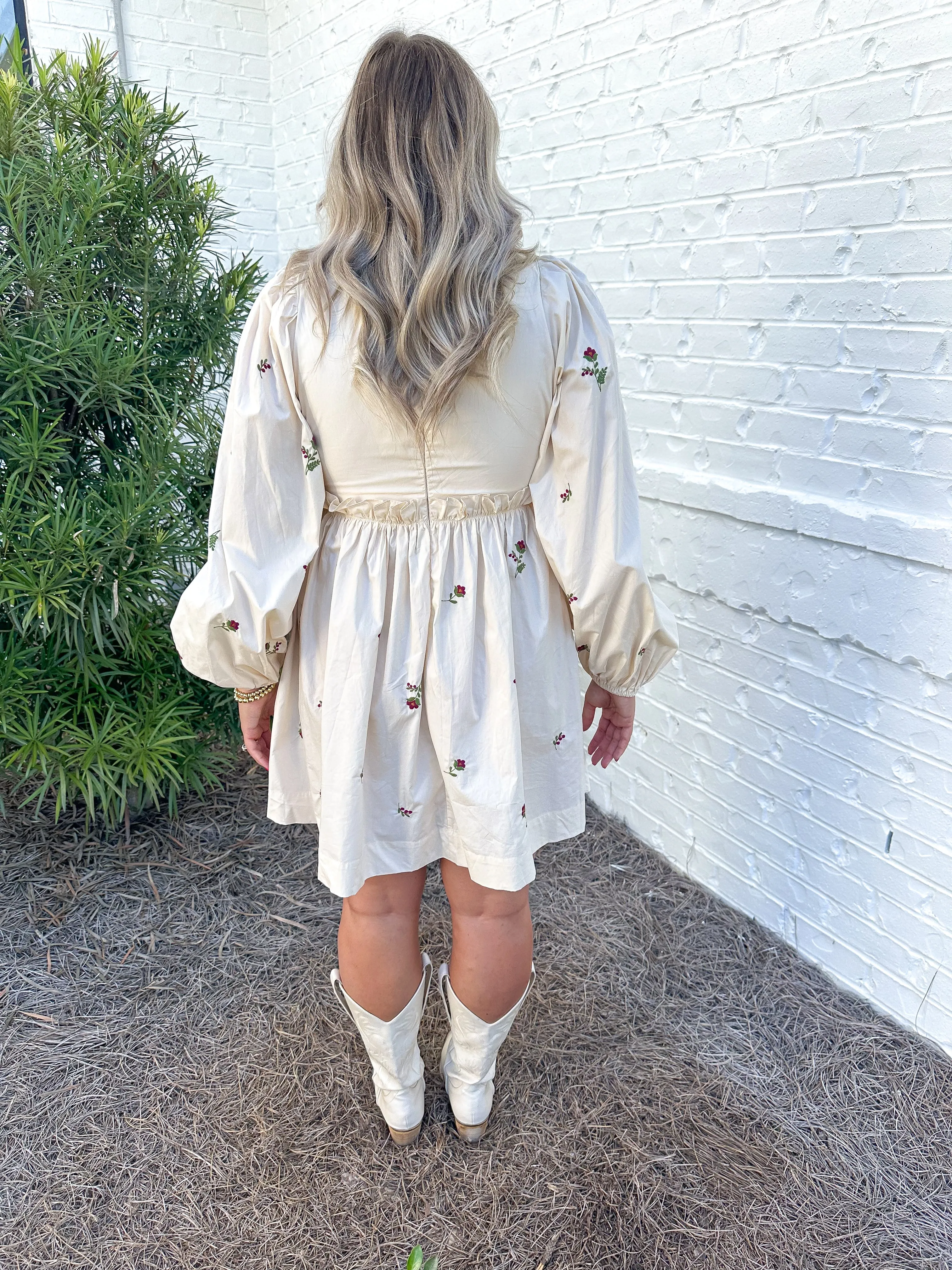 Poplin Embroidered Dress