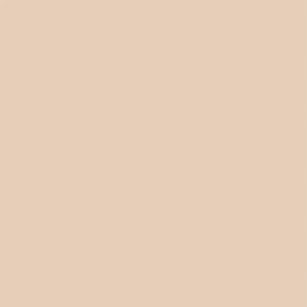 Savage 19 Egg Nog Half Length Paper Roll Backdrop (1.35x11M)