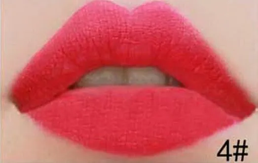 Waterproof Long Lasting Lip Gloss